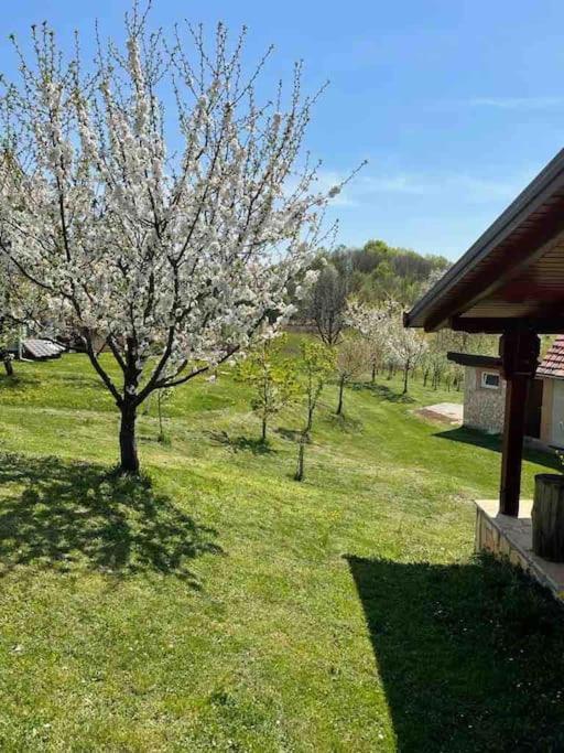 Villa Doma Samobor Εξωτερικό φωτογραφία