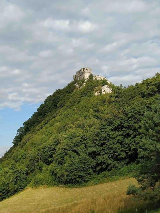 Villa Doma Samobor Εξωτερικό φωτογραφία