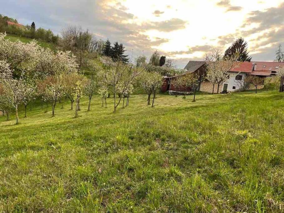 Villa Doma Samobor Εξωτερικό φωτογραφία
